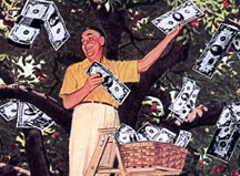 the money tree