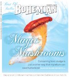 North Bay Bohemian cover photo