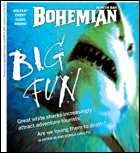 North Bay Bohemian cover photo