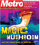 Metro Silicon Valley cover photo