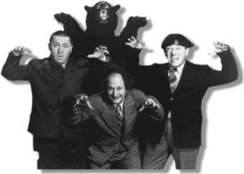 Stooges & bear