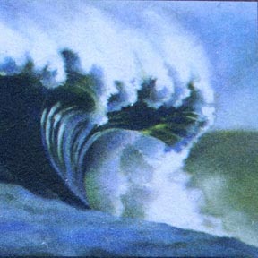 Notes From the Underbelly