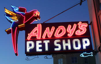 Andy's Pet Shop