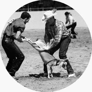 Golden State Gay Rodeo