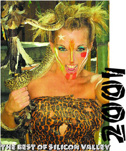 Best of Silicon Valley 2001