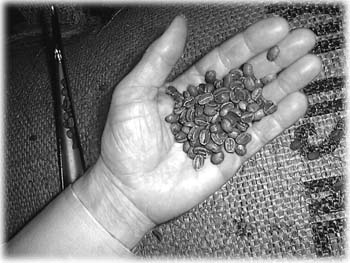 short picture description