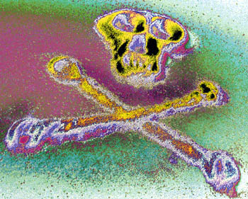 Skull and Crossbones