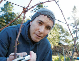A person in a gray beanie and dark hoodie is pruning bare grapevines outdoors with pruning shears, surrounded by trees and greenery on a sunny day.