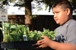 La Mesa Verde Brings Healthy Food to Low-Income Familes