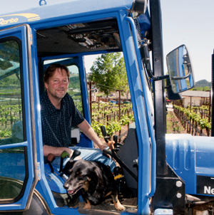 Winemakers – Vineyards