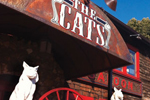 A rustic building with a sign reading The Cats above the entrance, flanked by two white cat statues and a red wagon wheel. Red-framed windows and trees are visible in the background.
