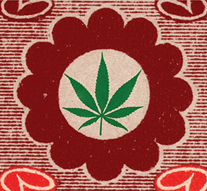 Green Industry:Marijuana in Silicon Valley