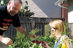 A man and a woman harvest fresh vegetables from a garden bed in a sunny backyard. The man reaches over plants, while the woman sits, holding a bowl of produce. A fence and greenery are visible in the background.