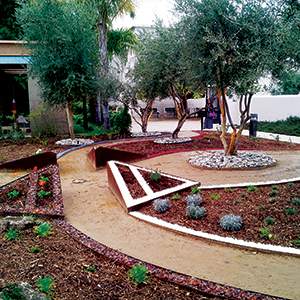 Alchemy Garden Opens in San Jose