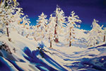 Snow-covered trees stand under a deep blue sky, with shadows cast on the snowy ground, creating a serene winter landscape.