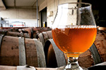 A glass of amber-colored beer sits in the foreground, with wooden barrels stacked in the background inside a brewery.
