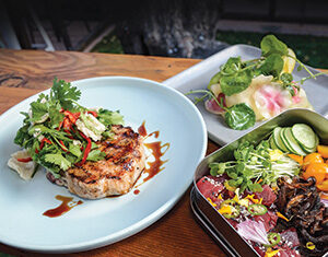 A plated grilled meat patty topped with fresh herbs and sauce sits next to a bento box containing sliced raw fish, vegetables, and pickled items on a wooden table.