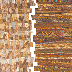 The ‘Earth Stories’ Exhibit Quilts Address Environmental Issues