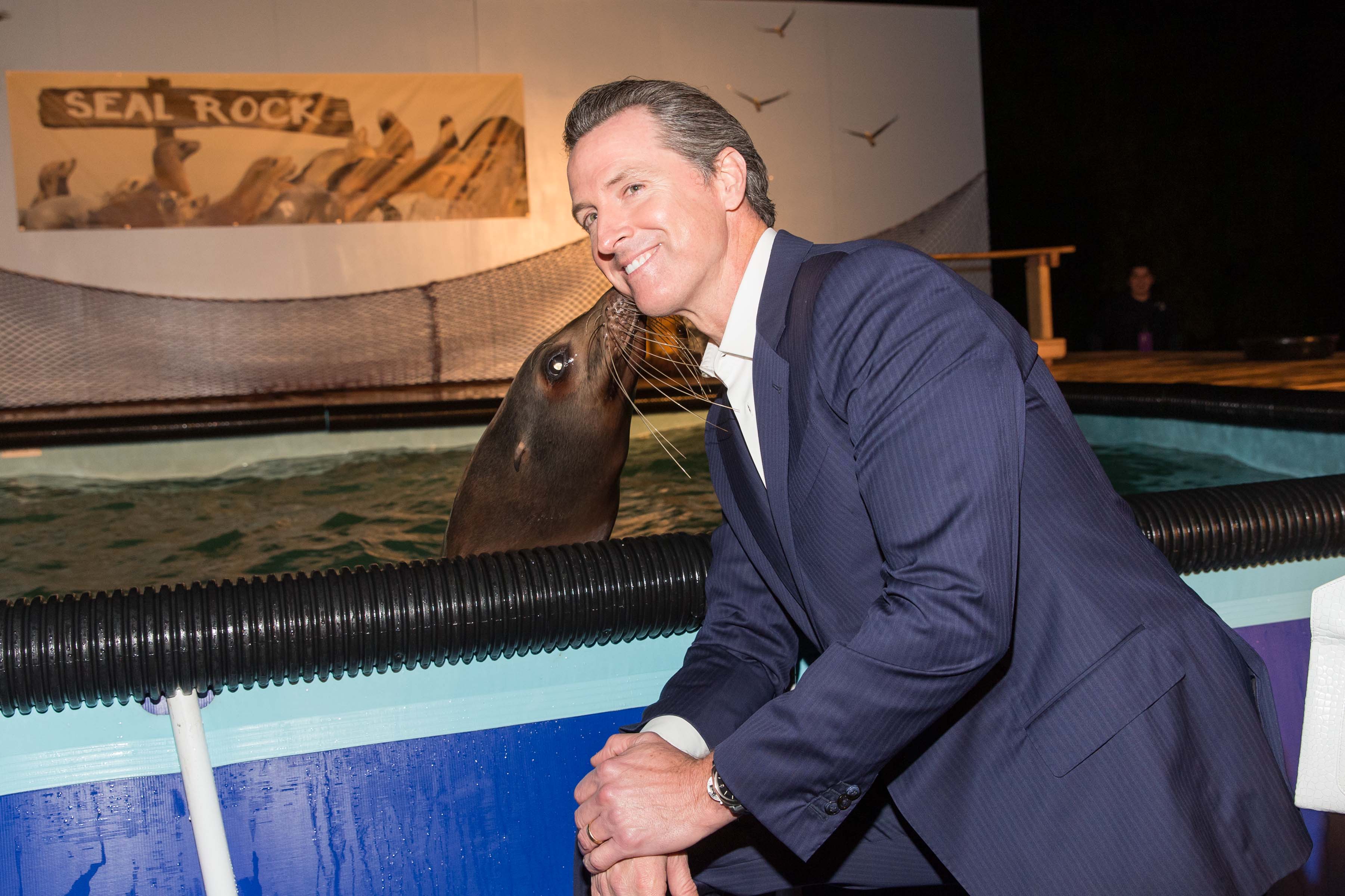 The Giving Back Fund’s Big Game Big Give - Super Bowl L