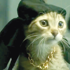 A cat wearing a black hat with large bows and a chunky gold chain collar, looking slightly to the side.