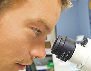 A person closely examining a sample through the eyepiece of a microscope in a laboratory setting.