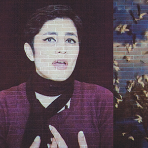 A person with short dark hair and dramatic eyeliner wears a scarf and dark top, speaking or singing. Birds in flight are visible on a brick wall background beside them.
