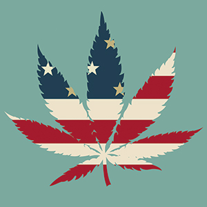 A marijuana leaf illustration filled with the design of the American flag, featuring red and white stripes with white stars on a blue background against a teal backdrop.