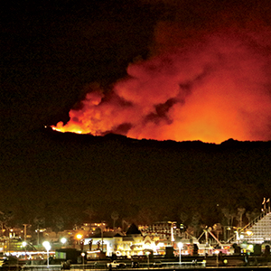 Getting Blazed: California Wildfires Rage in New Ecosystem