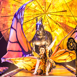 It’s Raining Acrobats