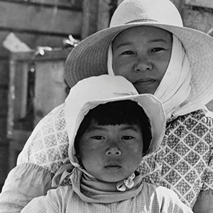 The Female, in All Its Forms