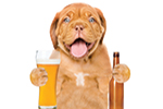 Pints for Pups: Beer, No Bite