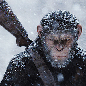 A close-up of a serious-looking ape with snow covering its fur, holding a rifle over its shoulder in a snowy, wintry environment.