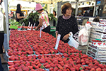 A woman stands behind a market stall filled with trays of strawberries, while another person in a pink hat shops nearby. There are boxes of strawberries stacked in the background.