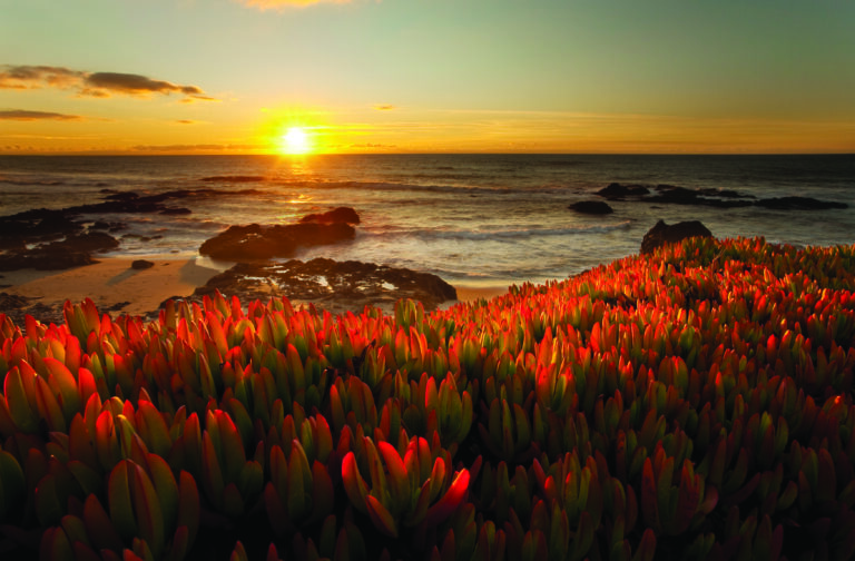 Coasts In Crisis: Gary Griggs Book Signing