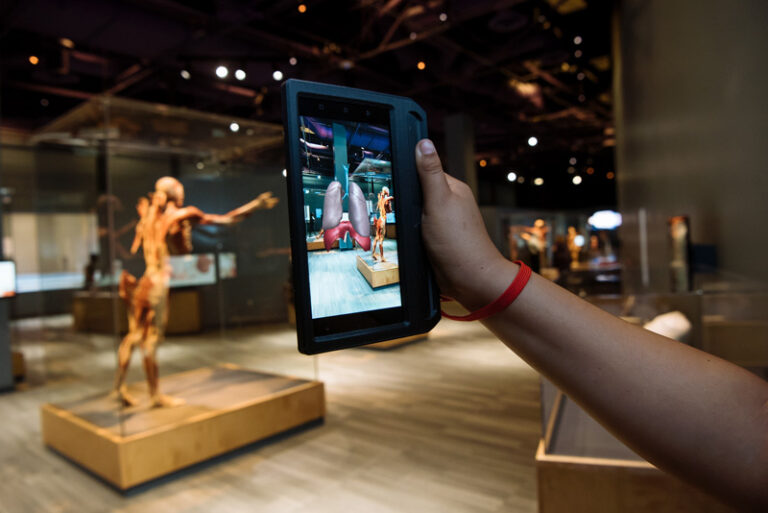‘Body Worlds Decoded’ At The Tech