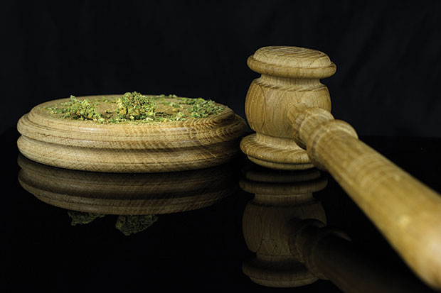 Pot Shots: Algorithm May Help Prosecutors with Prop. 64 Record Clearance