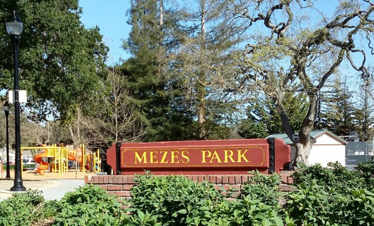 Pub in the Park at Mezes Park