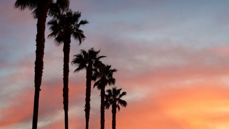 Sunset Thursday at Plaza de Cesar Chavez