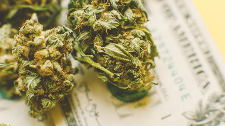 Pot Shots: A-Pot-Calypse Now