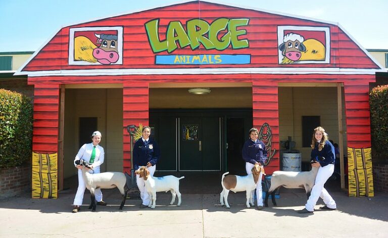 Santa Clara County Fair