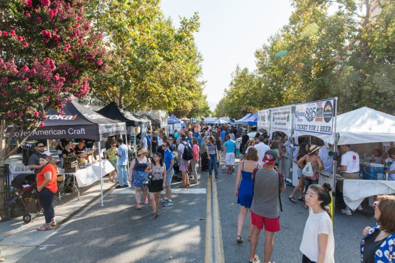 Mountain View Art & Wine Festival