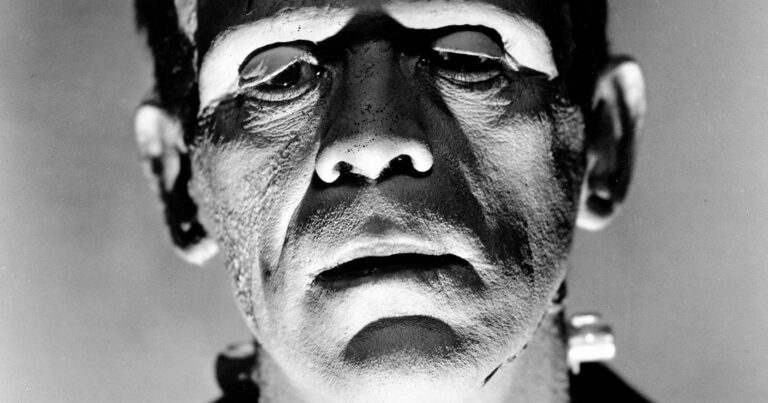 ‘Frankenstein Goes to the Movies’ at the Hammer Theatre