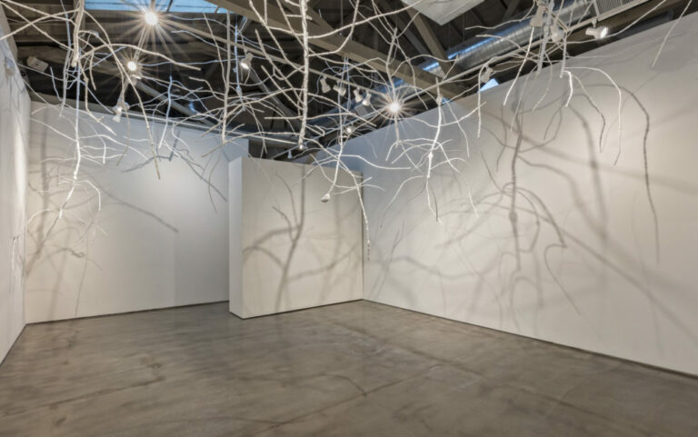 Art + Science at the San Jose Institute of Contemporary Art