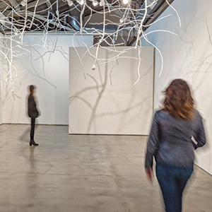 In Nature’s Shadow at SJICA