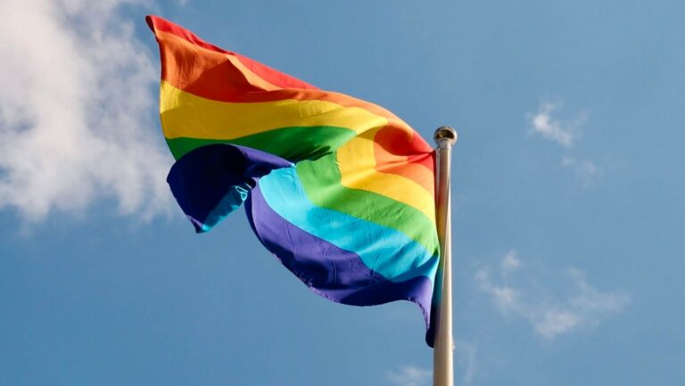 Pride Picnic at Baylands Park