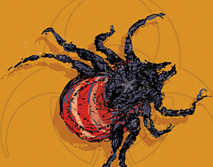 Illustration of a black and red spider with rough, sketchy lines on an orange background featuring a faint biohazard symbol.