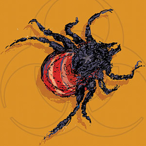 Illustration of a black and red spider with rough, sketchy lines on an orange background featuring a faint biohazard symbol.