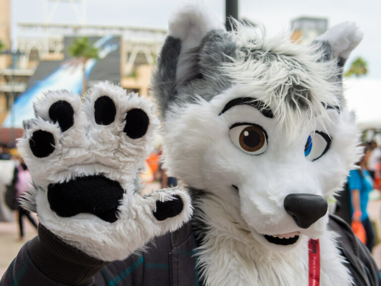 ‘Further Confusion 2020’ at San Jose Convention Center