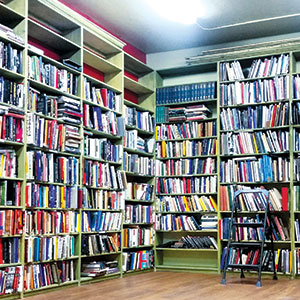 Silicon Alleys: Reopened Books