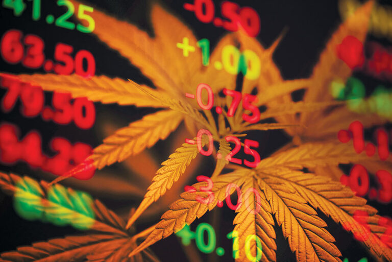 Pot Shots: After An Anemic Year, The Cannabis Sector Grew Like a Weed In 2020